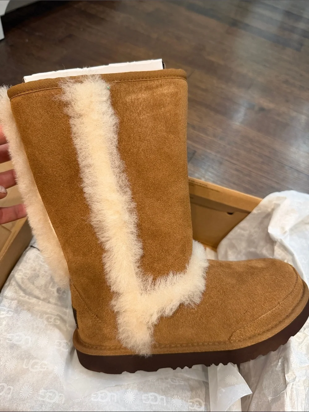 UGG Kids Chestnut (CHE) Tall Boots Box